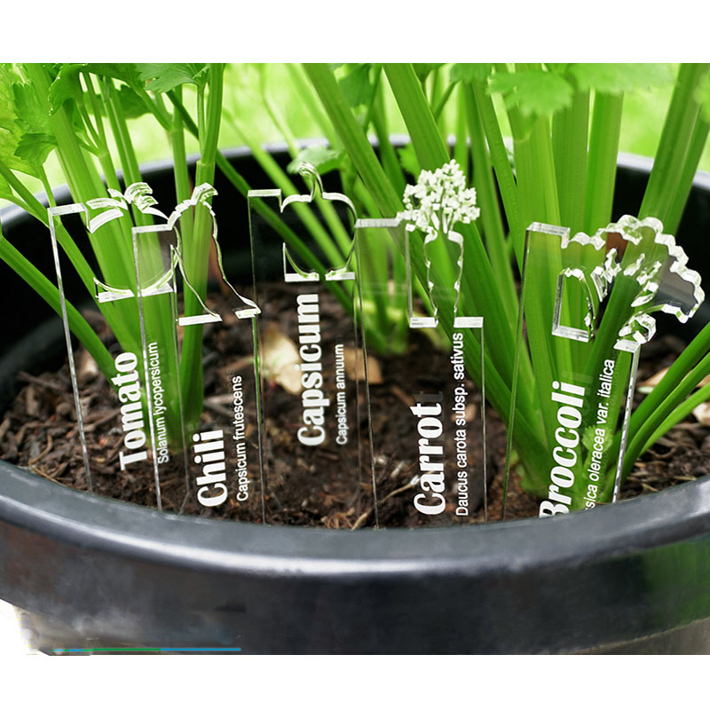 Wholesale acrylic plant marker, custom lucite plant marker