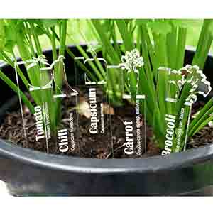 wholesale acrylic plant marker, custom lucite plant marker