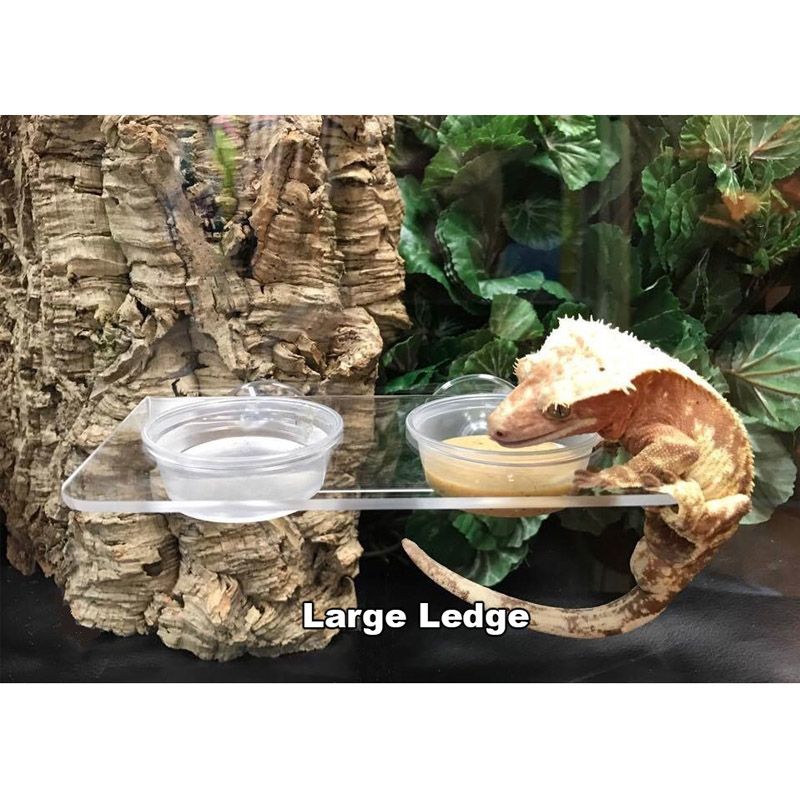 Custom acrylic gecko feeder, lucite gecko feeder rack