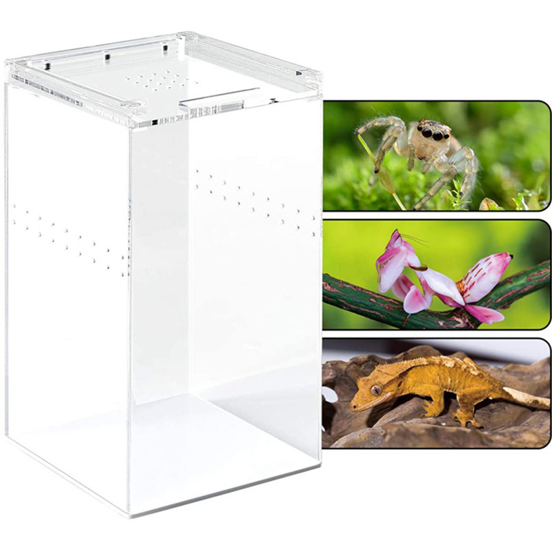 Wholesale acrylic reptile box, plexiglass pet case supplier