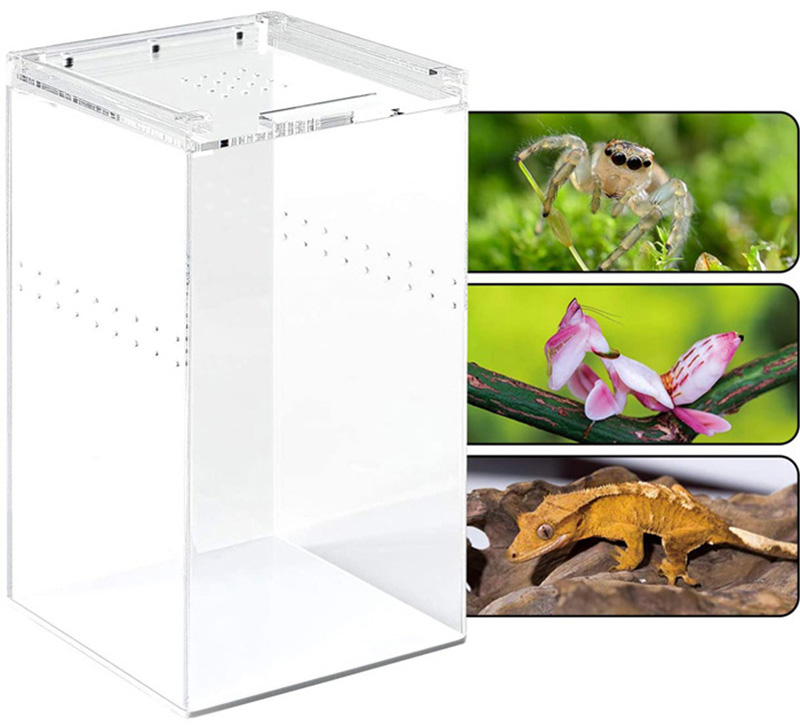 wholesale acrylic reptile box