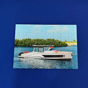 Wholesale printed acrylic puzzle, new vinyl puzzle manufacturer